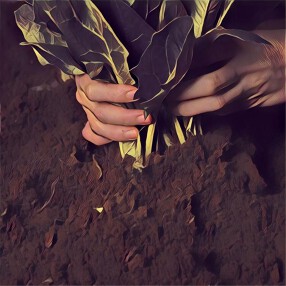 （仮称）Farm to Bakeryの画像