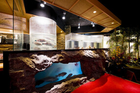 きじま 川崎店の画像