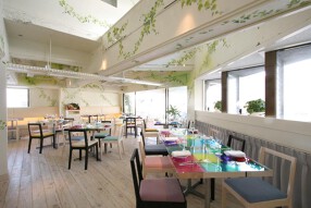 ＣＡＳＡＴＡの画像