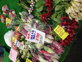 protago   yokohamaの画像