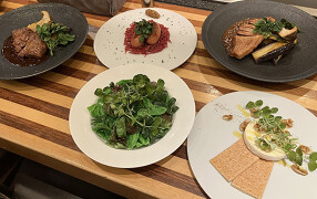 リコロ　大丸東京店の画像