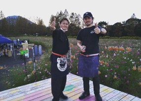 豚の恩返しの画像