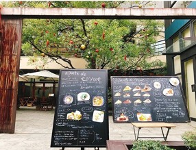 aparte de envueの画像