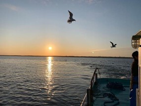 2019年10月下旬オープン〜海息吹（みぶき）〜【海の実りをふんだんに使った四季折々の料理】の画像