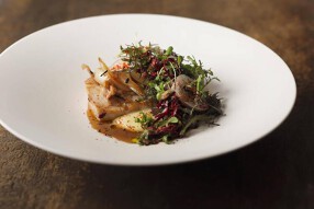 sio（新）の画像