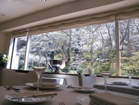 レストラン　ミッシェルナカジマの画像