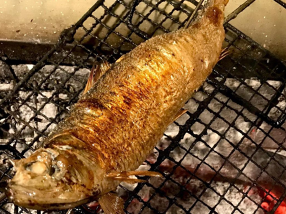 炭火焼と純米酒 居酒屋つるかめの画像