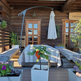 capriccioso cuocoの画像