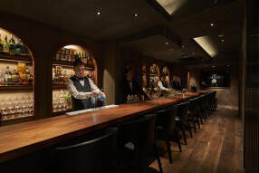 THE HAMILTON GSの画像