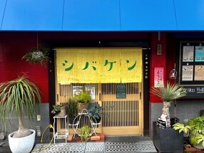 シバケンの画像