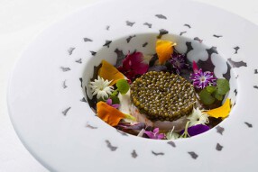 BELLUSTAR TOKYO, A Pan Pacific Hotelの画像