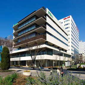 ADAM's awsome pie の画像