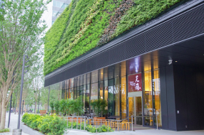 中国料理　豊洲 芝蘭の画像