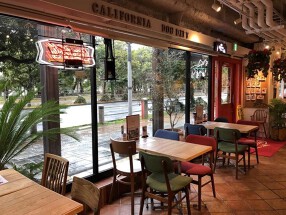 DOG DEPT CAFEお台場東京ビーチ店の画像