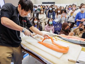 Sea Bank 株式会社の画像