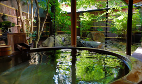 坂聖・玉樟園株式会社の画像