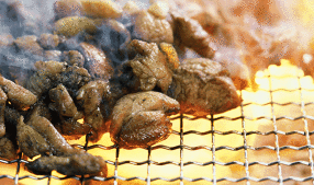 宮崎鶏料理 まるやの画像