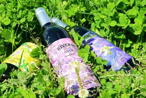 DEGUSTATION北青山の画像