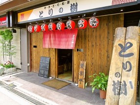 とりの樹の画像