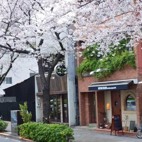 CELLIER de dimesの画像