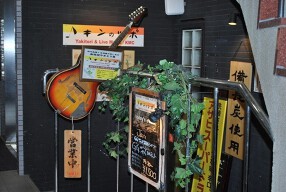 キンのツボの画像