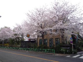 カフェ　フェリーチェの画像