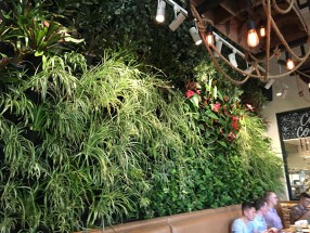 カフェアモールの画像