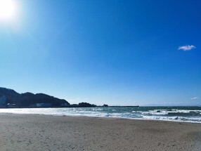 ALBATROSS 逗子の画像