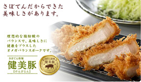 さぼてん 長岡西友店の画像