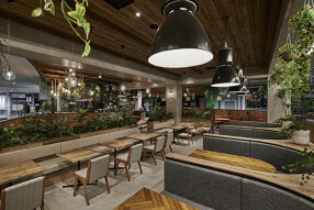 パスタの日の画像