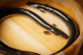 炭焼うな富士の画像