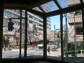 Bar SICILIAの画像