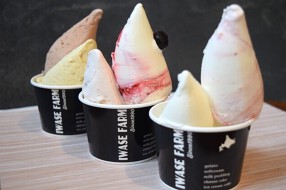 岩瀬牧場 ジェラートショップの画像