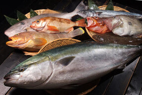 能登の夜市の画像