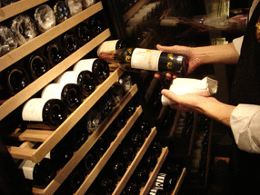 Ｐｏｗｅｒ Ｄｉｓｈ 松五郎の画像