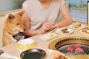 牛たん うしすけ 吉祥寺店の画像