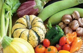 フロレスタ ファーマーズキッチン CODOMOの画像