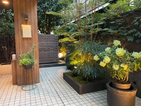 レストラン　セゾニエの画像