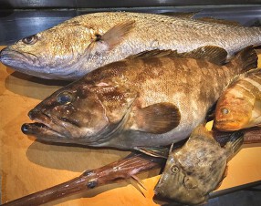 あじろ定置網の画像