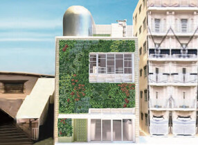 Farm to Me Sugar Factoryの画像