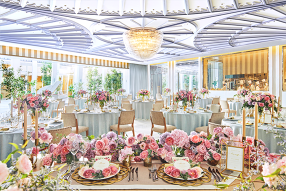 ラピスコライユの画像