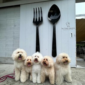 イン・ザ・グリーン の画像