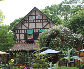 パスタ＆ピザガーデン　マジョラムの画像