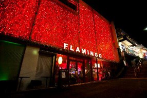FLAMINGOの画像