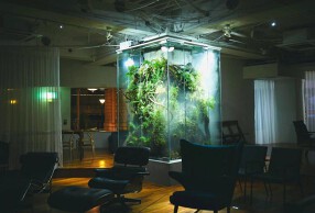 bar Theater guildの画像