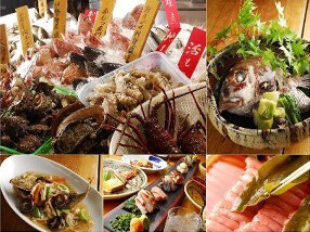 しらすくじらの画像