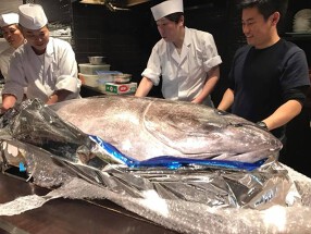 日本列島酒場　上五島（カミゴトウ）の画像
