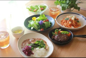 明治の森・黒磯の画像