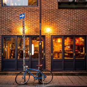 BIRD WATCHINGの画像