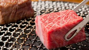 焼肉皐月　後楽園本店の画像